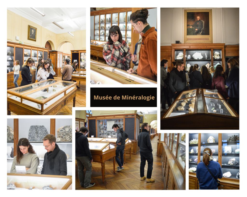 Les étudiants IGE au Musée de Minéralogie