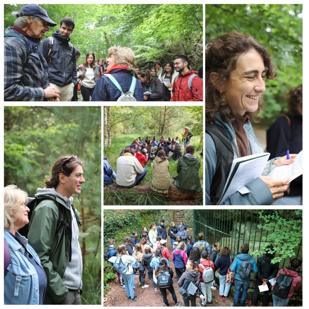Rentrée 2024 MS EEDD Parcours IGE
