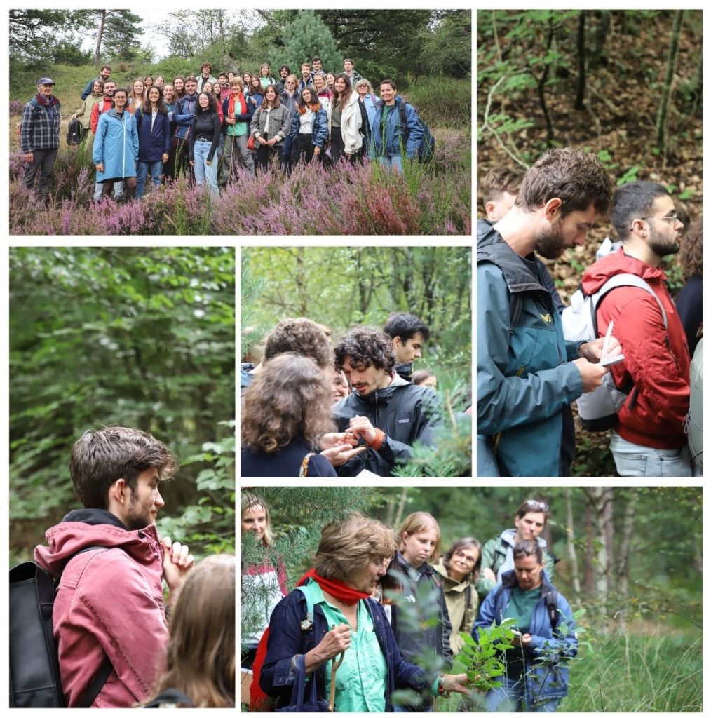 Rentrée 2024 MS EEDD Parcours IGE